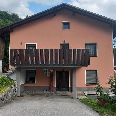 Apartmaji Ursic 科巴里德 外观 照片