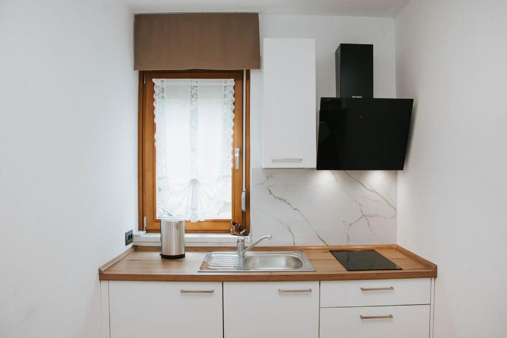 Apartmaji Ursic 科巴里德 外观 照片